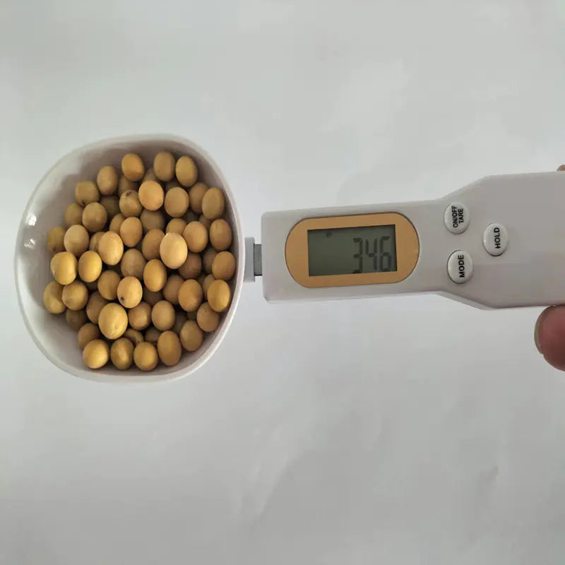 Spoon Scale